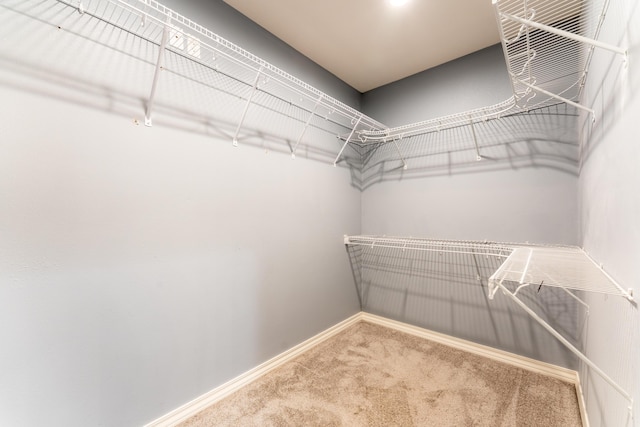 865 E Striper Dr, Nixa, MO 65714 - spacious closet featuring carpet
