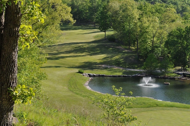 201 Silver Oak Ln, Branson West, MO 65737 - surrounding community with a water view
