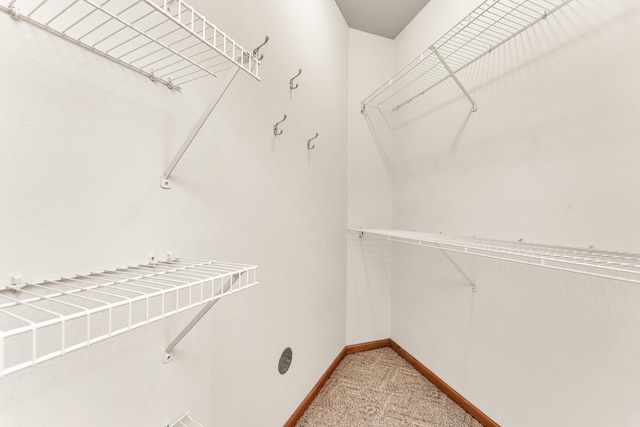 201 Silver Oak Ln, Branson West, MO 65737 - spacious closet featuring carpet floors