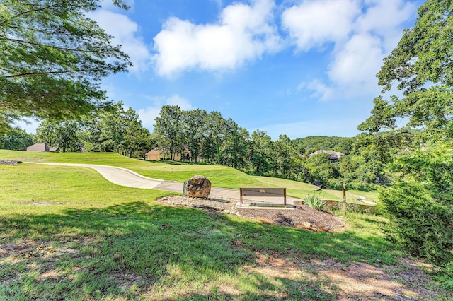 201 Silver Oak Ln, Branson West, MO 65737 - view of green lawn featuring golf course view and view of scattered trees