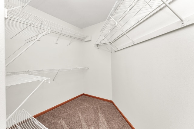201 Silver Oak Ln, Branson West, MO 65737 - walk in closet featuring carpet floors