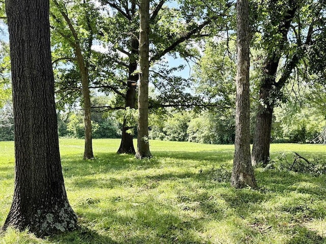 16610 S 1375th Rd, Nevada, MO 64772 - view of local wilderness