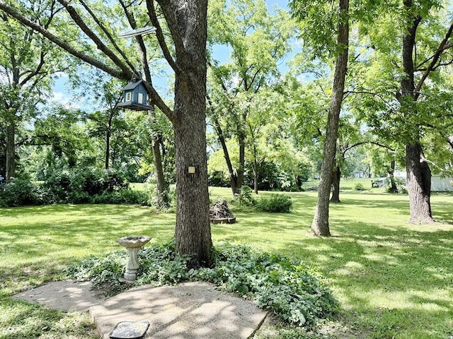 16610 S 1375th Rd, Nevada, MO 64772 - view of grassy yard