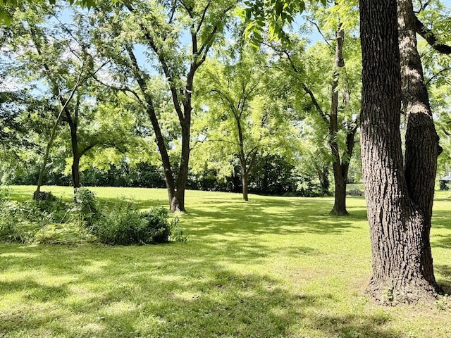 16610 S 1375th Rd, Nevada, MO 64772 - view of grassy yard