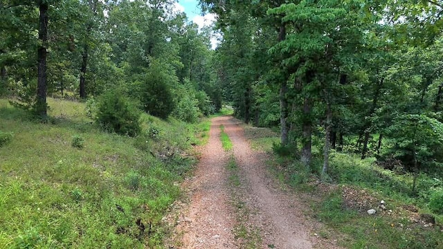 2240 Racetrack Hollow Rd, Anderson, MO 64831 - view of dirt / gravel road with a wooded view