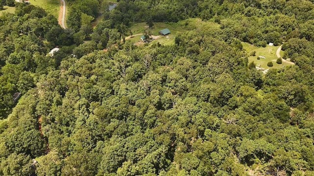 2240 Racetrack Hollow Rd, Anderson, MO 64831 - aerial overview of property's location featuring a forest
