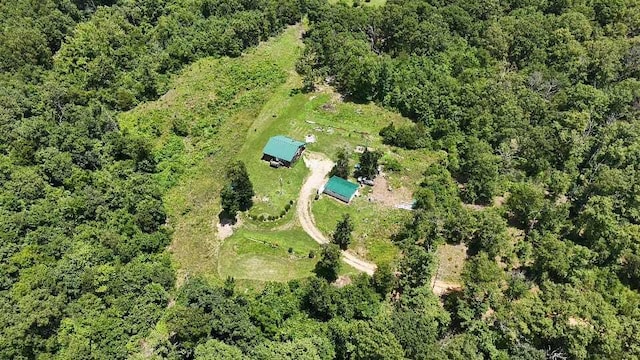 2240 Racetrack Hollow Rd, Anderson, MO 64831 - aerial view