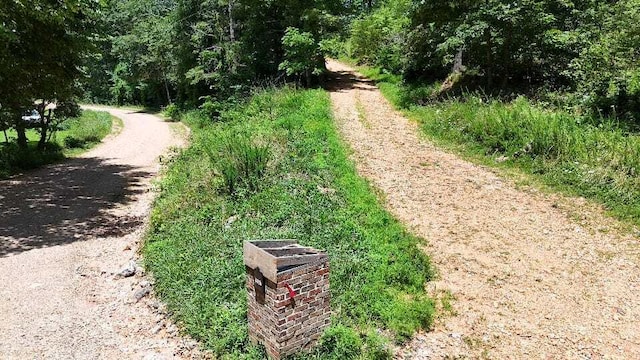 2240 Racetrack Hollow Rd, Anderson, MO 64831 - view of road with a forest view