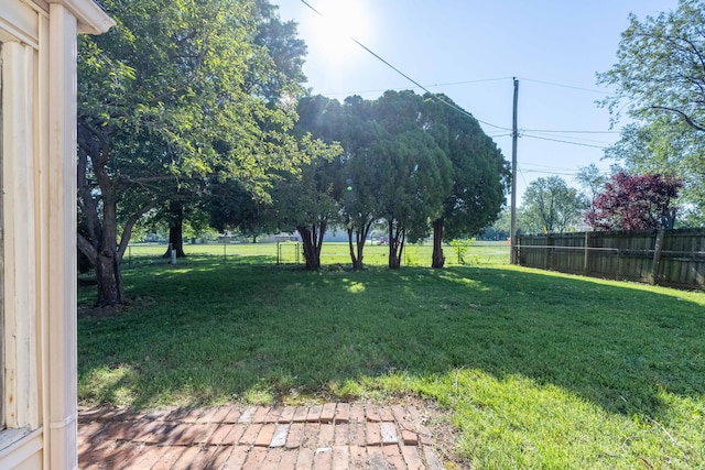 2924 S Roanoke Ave, Springfield, MO 65807 - view of yard
