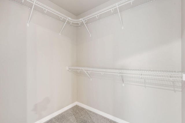 1545 N Oakfair Pl, Springfield, MO 65802 - walk in closet with carpet