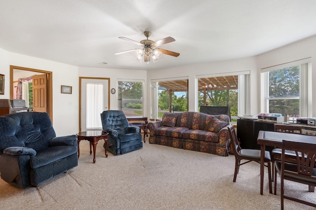 489 Indian Valley Rd, Branson West, MO 65737 - photo 17