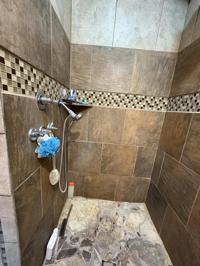 421 N Emory Creek Rd, Walnut Shade, MO 65771 - bathroom featuring a tile shower