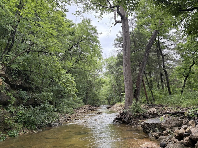421 N Emory Creek Rd, Walnut Shade, MO 65771 - water view with a heavily wooded area