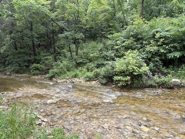 421 N Emory Creek Rd, Walnut Shade, MO 65771 - view of tree filled area