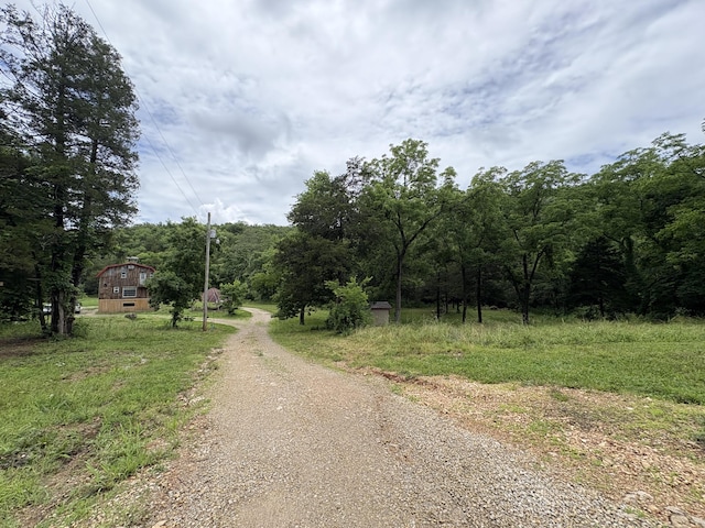 421 N Emory Creek Rd, Walnut Shade, MO 65771 - view of dirt / gravel driveway with a barn and a forest view