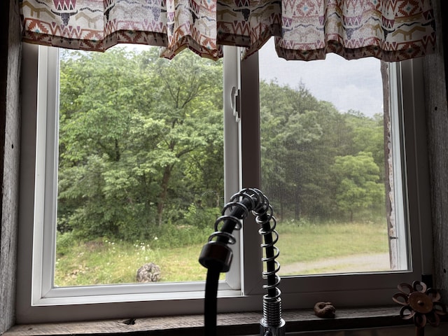 421 N Emory Creek Rd, Walnut Shade, MO 65771 - kitchen view of a heavily wooded area