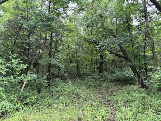 421 N Emory Creek Rd, Walnut Shade, MO 65771 - view of woods