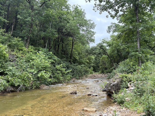 421 N Emory Creek Rd, Walnut Shade, MO 65771 - view of tree filled area