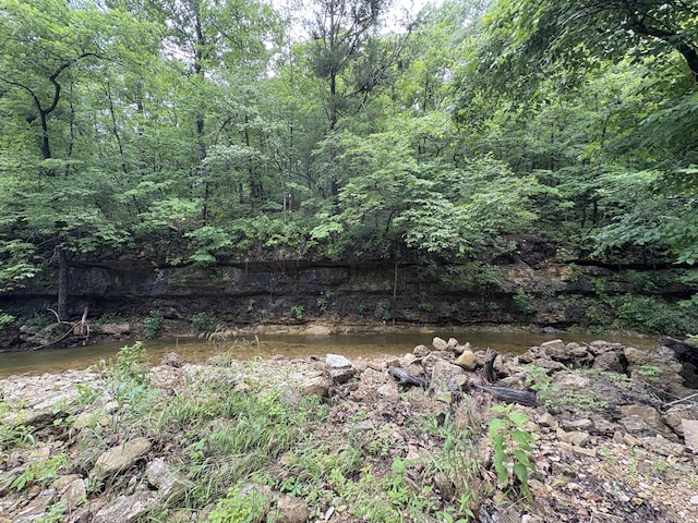 421 N Emory Creek Rd, Walnut Shade, MO 65771 - view of nature
