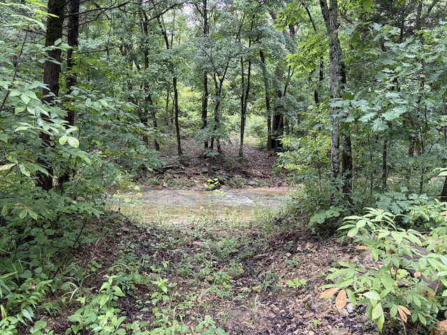 421 N Emory Creek Rd, Walnut Shade, MO 65771 - view of woods