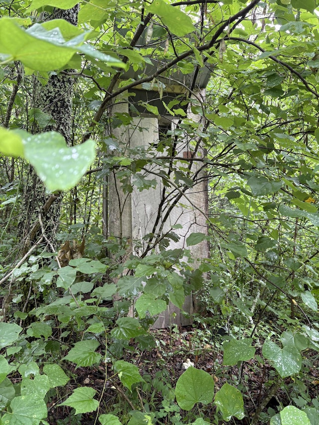 421 N Emory Creek Rd, Walnut Shade, MO 65771 - view of undeveloped land