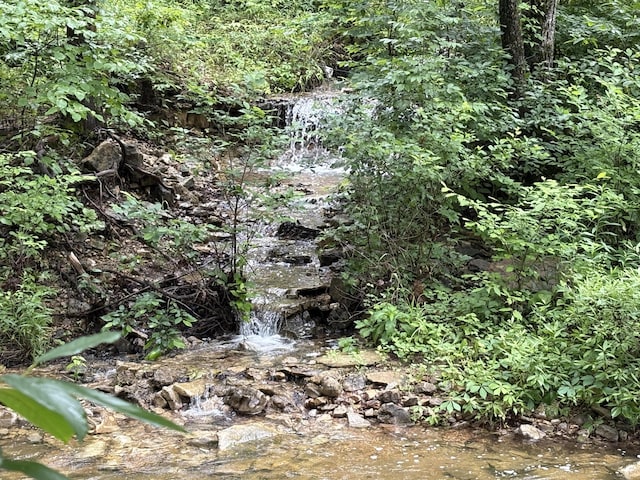 421 N Emory Creek Rd, Walnut Shade, MO 65771 - view of undeveloped land