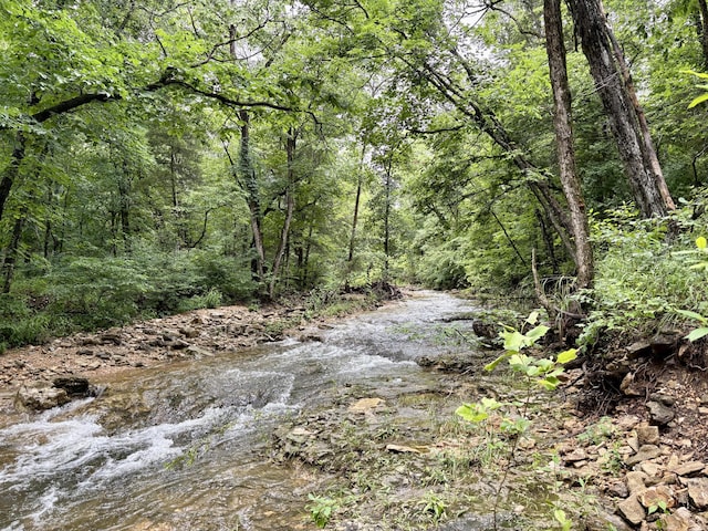 421 N Emory Creek Rd, Walnut Shade, MO 65771 - view of wooded area