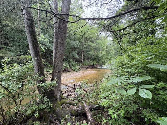 421 N Emory Creek Rd, Walnut Shade, MO 65771 - view of wooded area