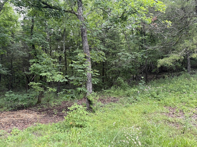421 N Emory Creek Rd, Walnut Shade, MO 65771 - view of wooded area