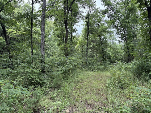 421 N Emory Creek Rd, Walnut Shade, MO 65771 - view of woods
