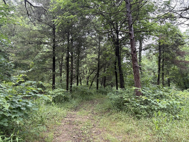 421 N Emory Creek Rd, Walnut Shade, MO 65771 - view of tree filled area