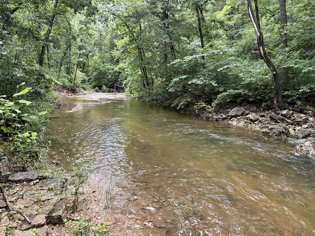 421 N Emory Creek Rd, Walnut Shade, MO 65771 - water view featuring a forest