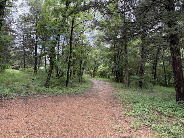 421 N Emory Creek Rd, Walnut Shade, MO 65771 - view of wooded area