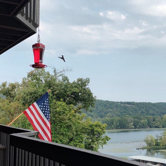 150 Sunken Forest Dr Unit 10-253, Forsyth, MO 65653 - water view featuring a forest