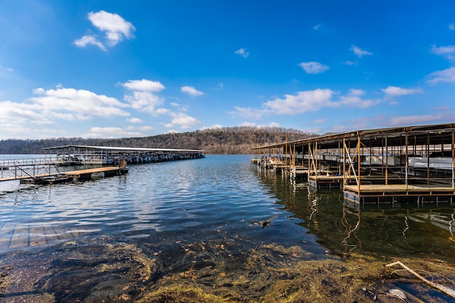 150 Sunken Forest Dr Unit 10-253, Forsyth, MO 65653 - dock featuring a water view