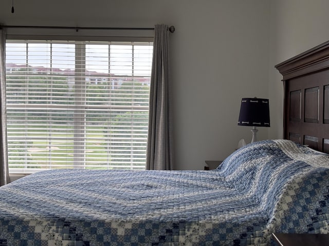 330 S Wildwood Dr Unit B1, Branson, MO 65616 - bedroom with multiple windows