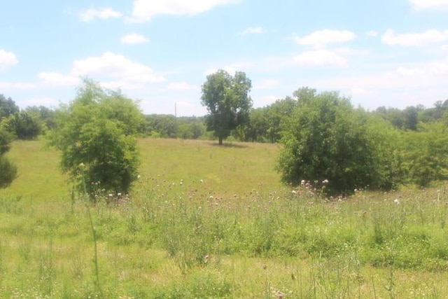 3176 S 170th Rd, Polk, MO 65727