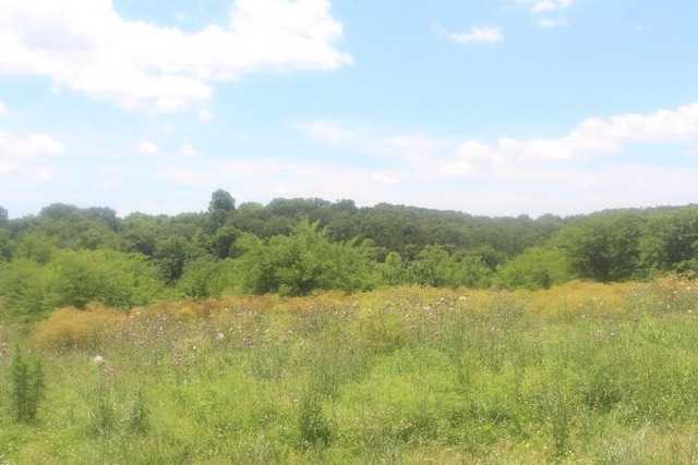 3176 S 170th Rd, Polk, MO 65727