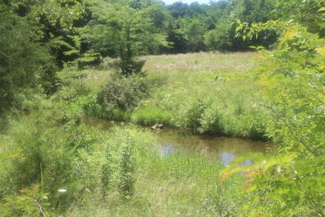 3176 S 170th Rd, Polk, MO 65727