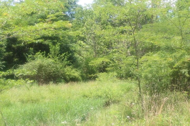 3176 S 170th Rd, Polk, MO 65727