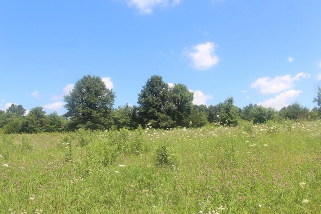 3176 S 170th Rd, Polk, MO 65727