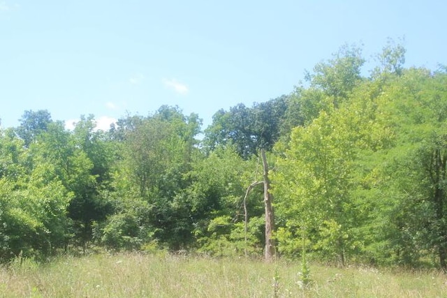 3176 S 170th Rd, Polk, MO 65727
