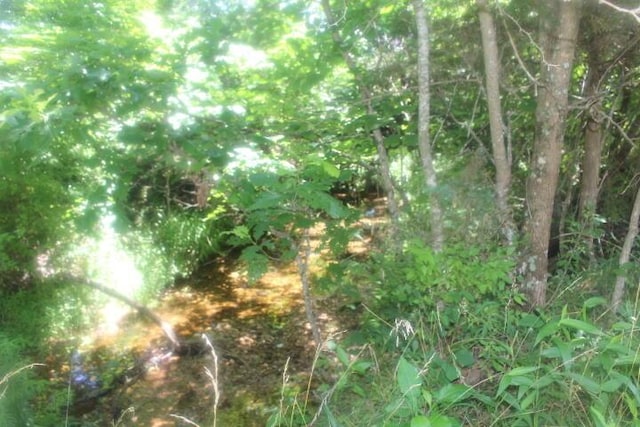 3176 S 170th Rd, Polk, MO 65727