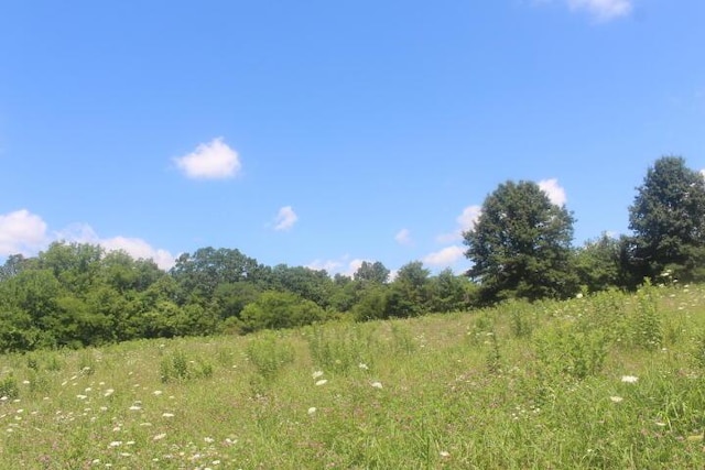 3176 S 170th Rd, Polk, MO 65727