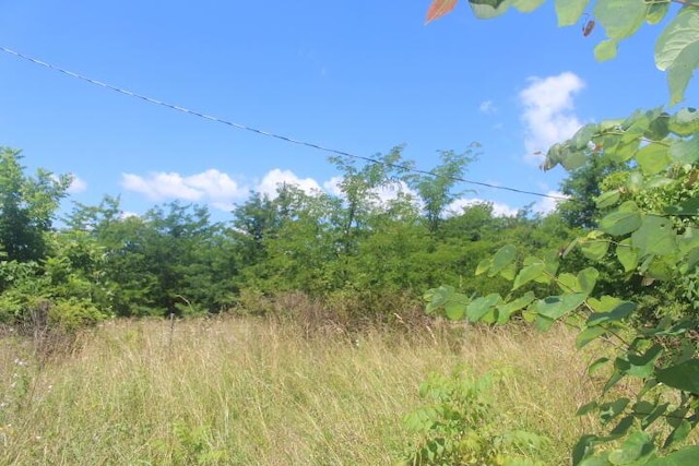 3176 S 170th Rd, Polk, MO 65727