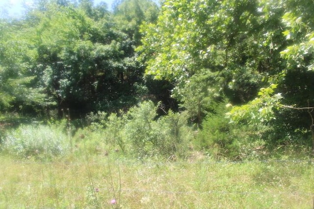 3176 S 170th Rd, Polk, MO 65727