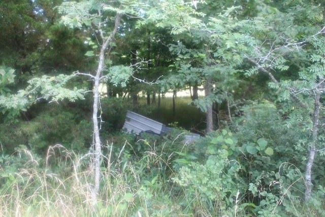 3176 S 170th Rd, Polk, MO 65727