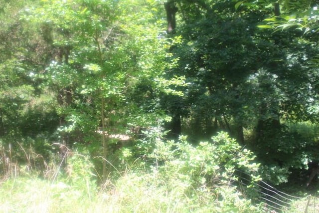 3176 S 170th Rd, Polk, MO 65727