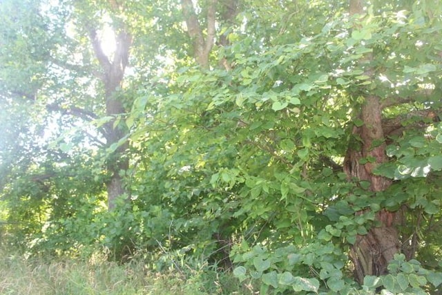 3176 S 170th Rd, Polk, MO 65727