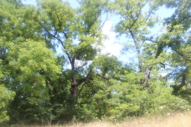 3176 S 170th Rd, Polk, MO 65727